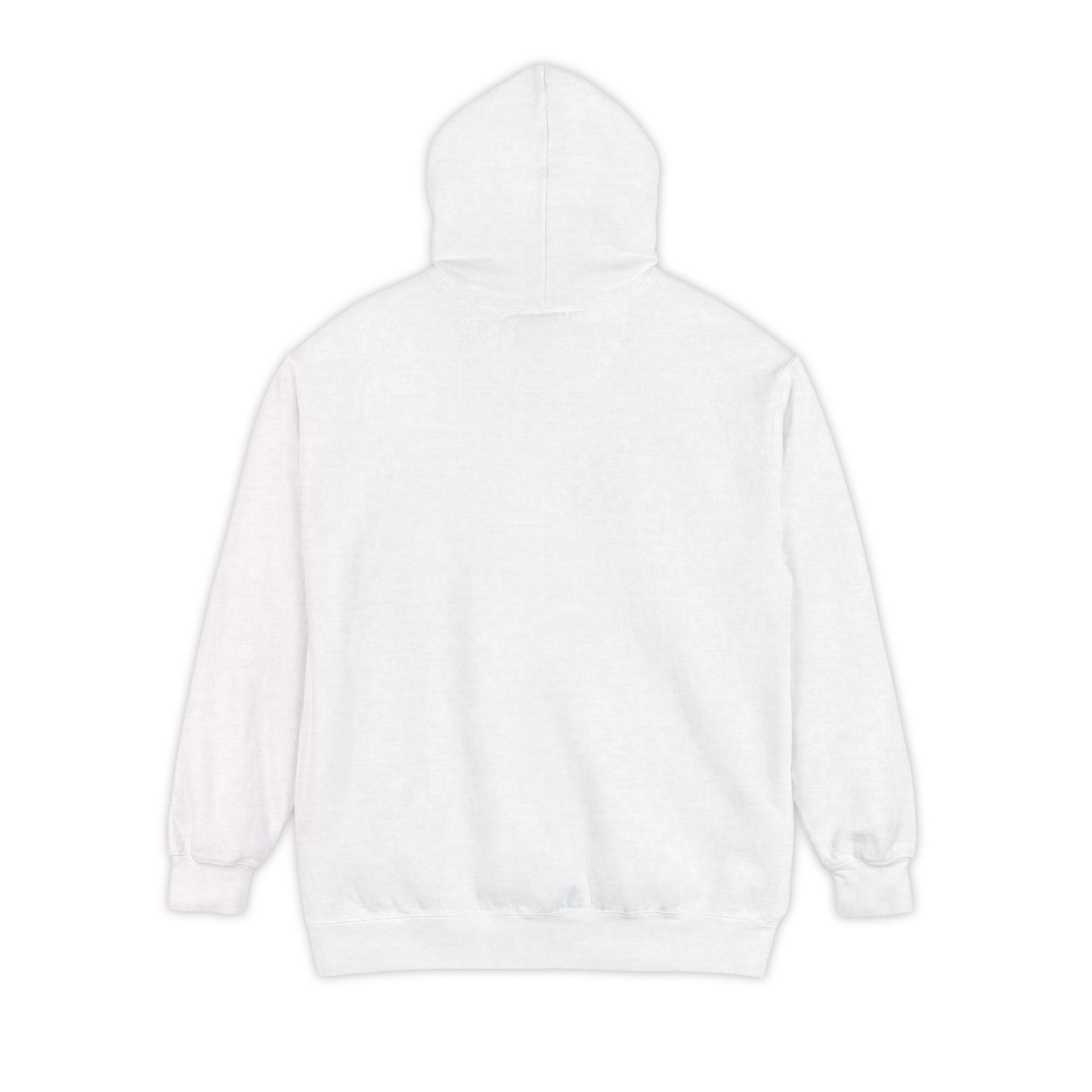 American Hockey — Comfort Colors Hoodie